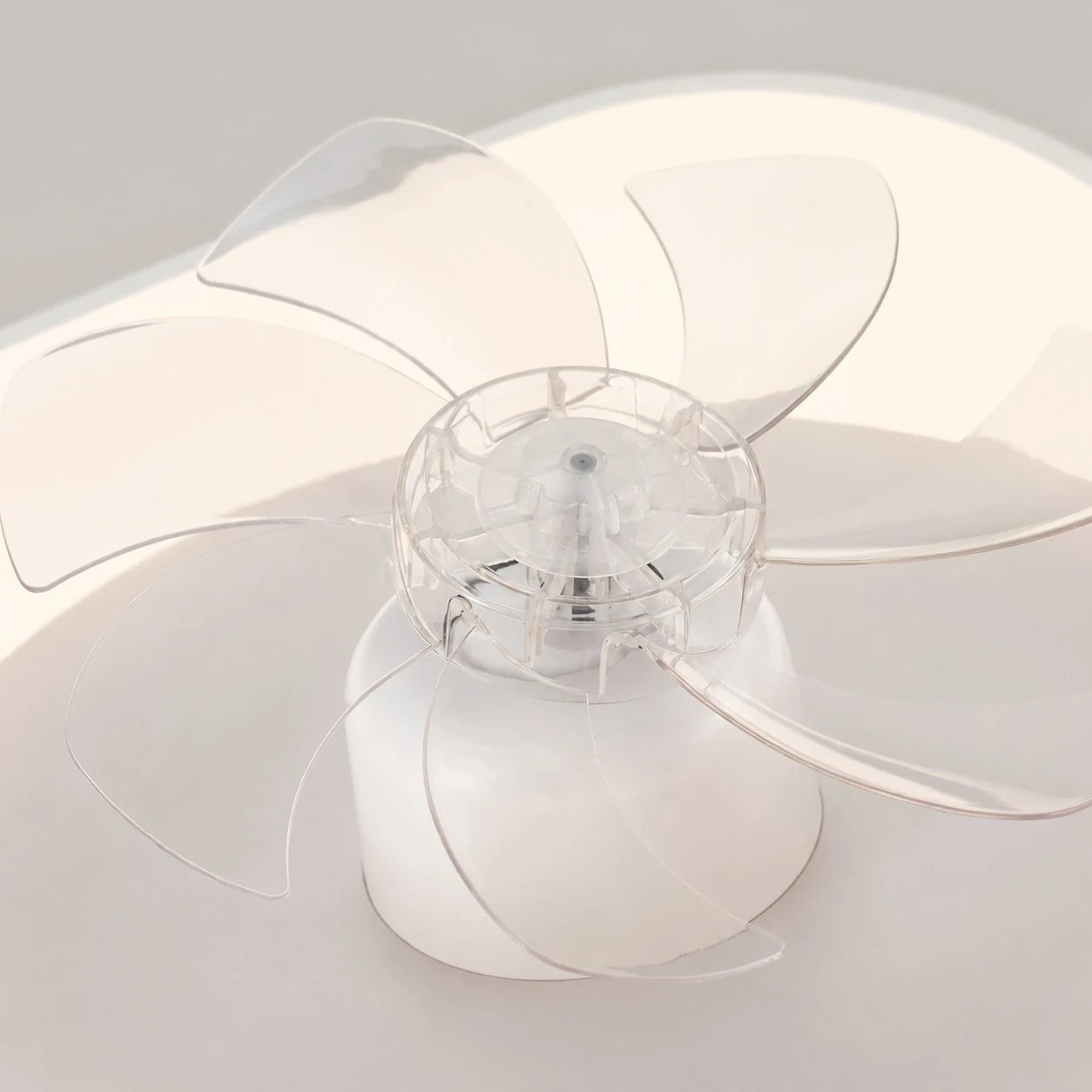 Transparent fan blade detail on ceiling fan light