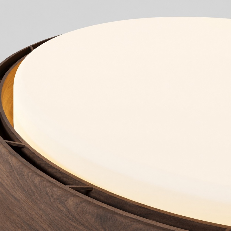Round LED ceiling light 12