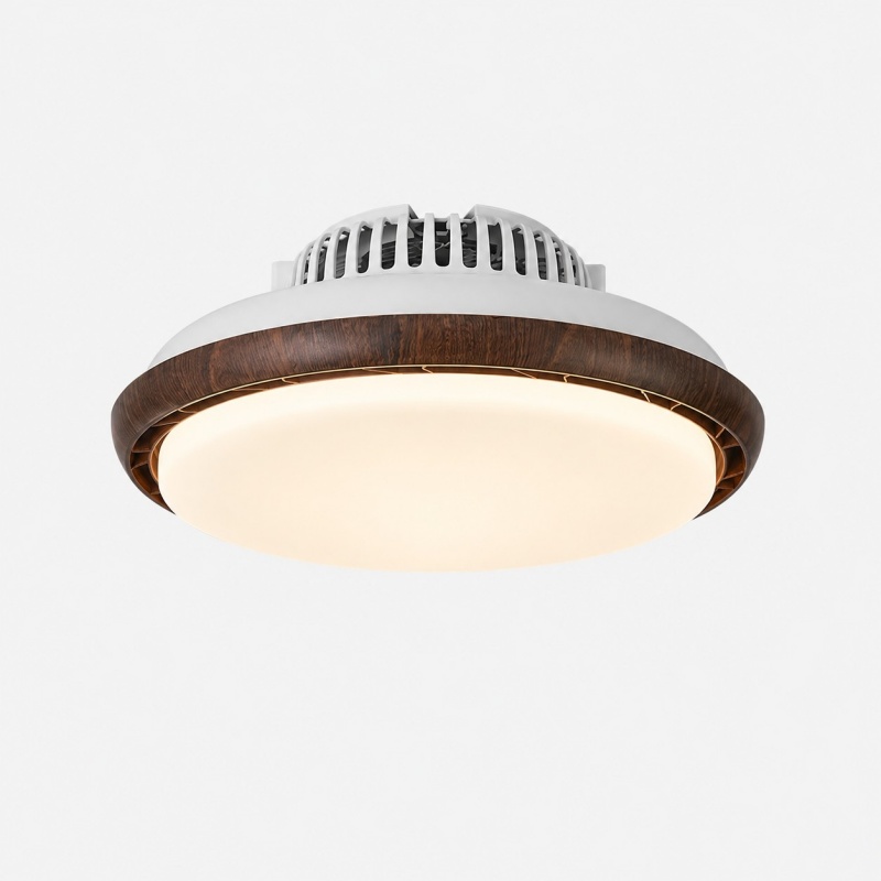 Round LED ceiling light 4